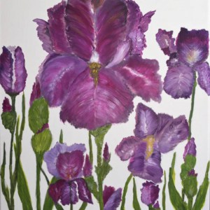 Iris