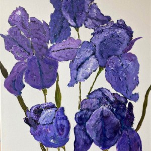 Iris Blooms